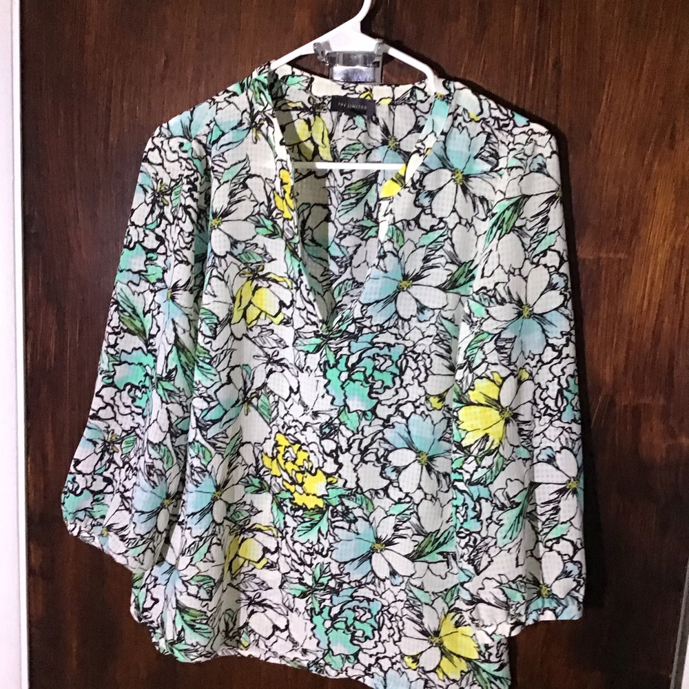 The limited blouse
